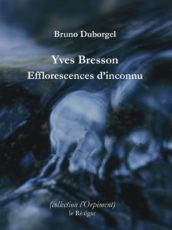Yves Bresson – Efflorescences d’inconnu